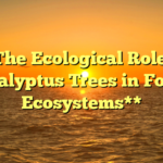 **The Ecological Role of Eucalyptus Trees in Forest Ecosystems**