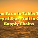 From Farm to Table: The Journey of Star Fruit in Global Supply Chains